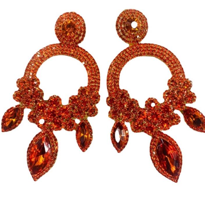 Fancy Women's Earring 