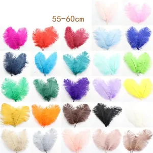 50-55cm / 55-60cm Carnival Feather 